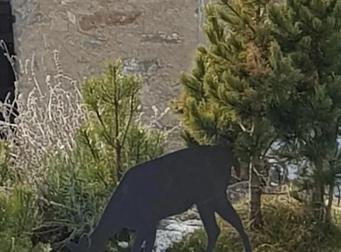 Aparthotel Teo E Marianna 4*